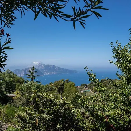 La Casa Piccola Villa Massa Lubrense